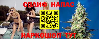 Альфа ПВП Аргун