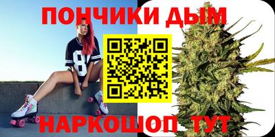 Альфа ПВП Аргун