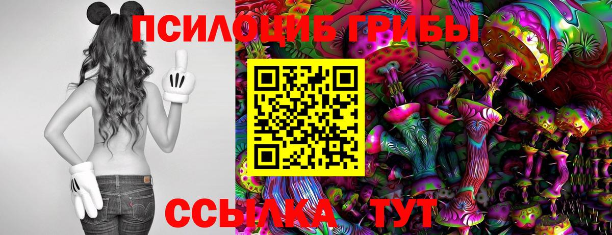 Псилоцибиновые грибы Psilocybine cubensis Ачинск